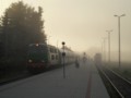 Pociągi we mgle w Zamosciu